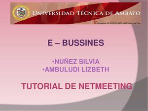 MANUAL DE USO - MIKOGO