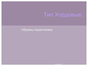 Тип Хордовые