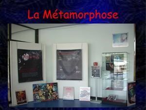 Exposition Métamorphose
