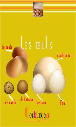 les oeufs par Cooktoo.fr