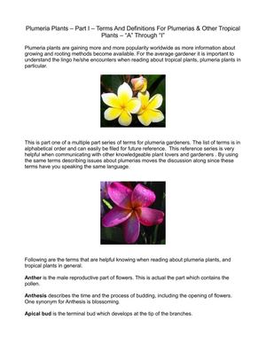 Plumeria Plants – Part I – Terms And Definitions For Plumerias And Other Tropical Plants 