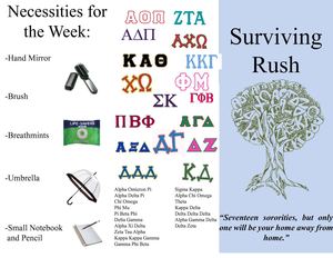 Recruitment Brochure