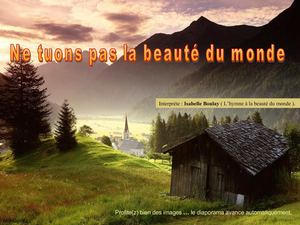 Ne tuons pas la beauté de la nature