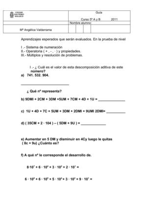 Guia  de nivel 2011 5º