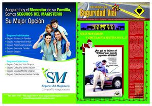 PERIODICO SEGURIDAD VIAL