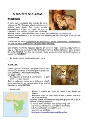 EL PROJECTE DELS LLEONS