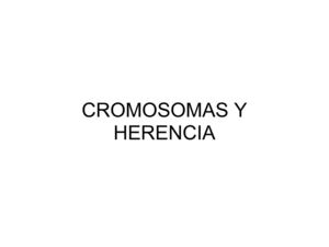 Cromosomas y herencia