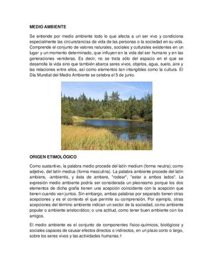 Medio Ambiente