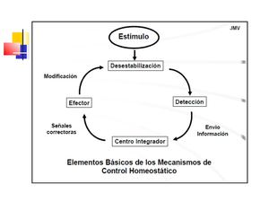 termoregulación y glicemia