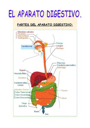 TRABAJO UNIDO TEMA 1 Y 2 CONO 2008-09