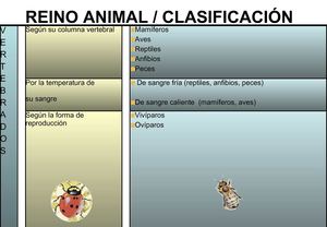 CLASIFICACION DE ANIMALES