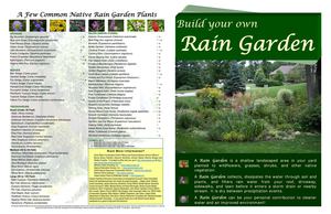 Marion County IN: Build your own Rain Garden