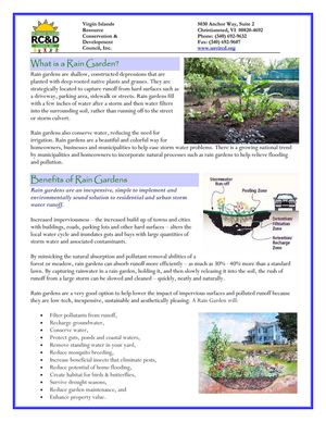Virgin Islands: All About Rain Gardens