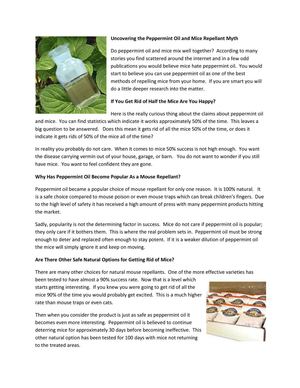Uncovering the Peppermint Oil and Mice Repellant Myth 