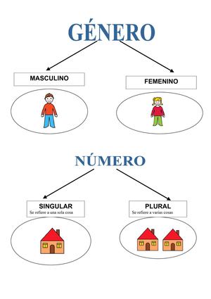 genero y numero