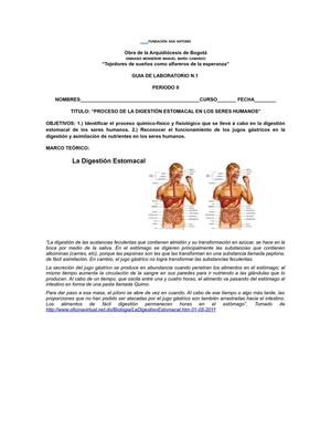 Guia%2520de%2520laboratorio-biologia-6°[1][1]