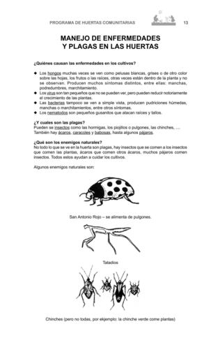 MANEJO DE ENFERMEDADES Y PLAGAS DEL HUERTO