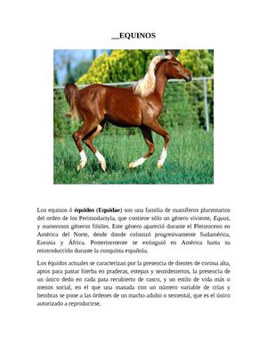todo sobre equinos