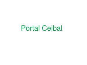 Visitas al Portal Ceibal