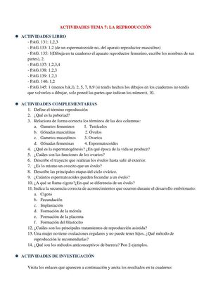 ACTIVIDADES TEMA 7 (3º)