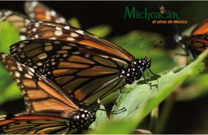 Circuitos de Michoacán