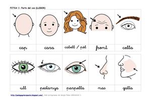 Parts del cos enllaçada