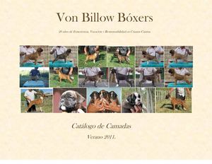 Cachorros Disponibles a venta