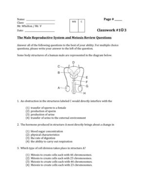 Male Anatomy Review Questions