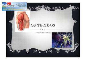 Os Tecidos