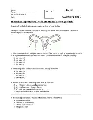 Female Anatomy Q's