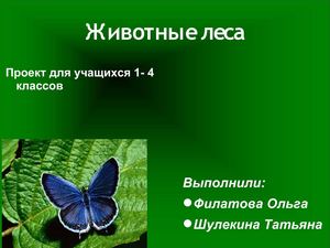 Презентация "Животные леса"