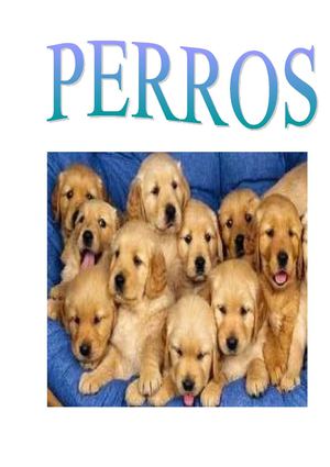 PERROS