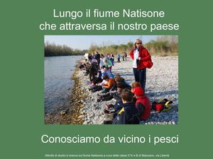 STUDIAMO I PESCI DA VICINO