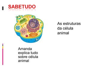 célula animal