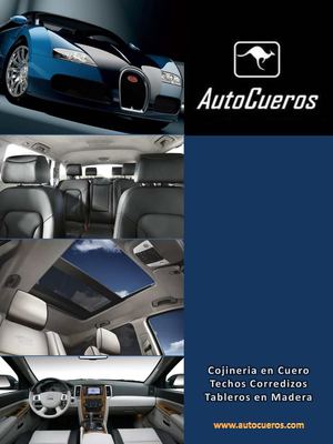 Cojineria en Cuero Automotriz