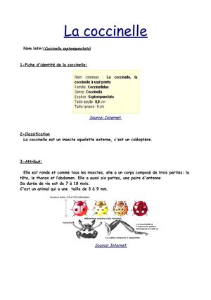 La coccinelle par Ameline et Caroline