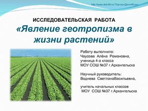 Явление геотропизма в жизни растений