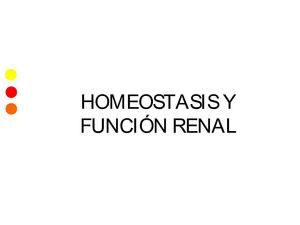 HOMEOSTASIS Y FUNCIÓN RENAL