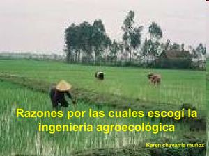 las 5 razones por las que estudio agroecologia