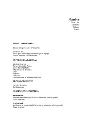 Formato Hoja de Vida