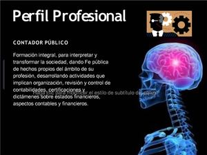 perfil profesional