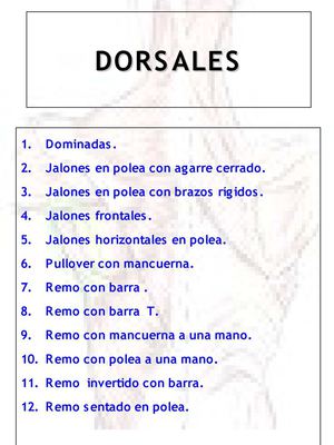 EJERCICIOS DE MUSCULACIÓN - Dorsales