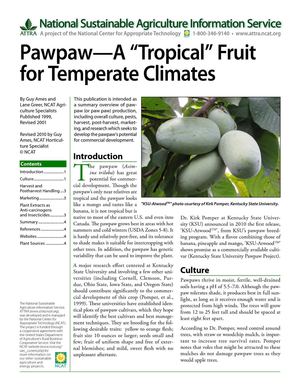 Pawpaw - A "Tropical" Fruit for Temperate Climates