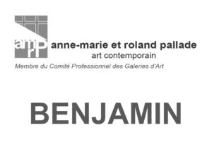 Exposition BENJAMIN, galerie anne-marie et roland pallade, Lyon