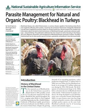 Parasite Management for Natural and Organic Poultry: Blackhead in Turkeys - IP372