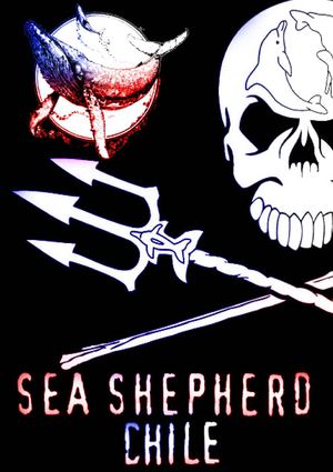 Revista Sea Shepherd Chile I