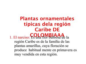 PLANTA ORNAMENTALES TIPICAS DEL CARIBE DE COLOMBIA