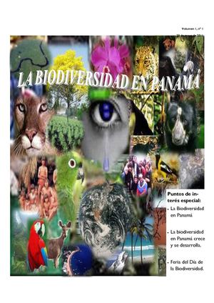 Revista