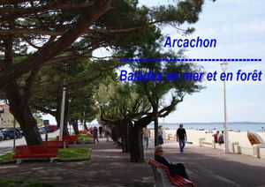 Balade à Arcachon