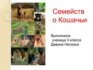 Ученическая презентация 